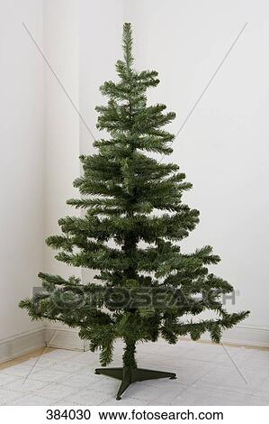 Stock Image - Bare Christmas Tree. Fotosearch