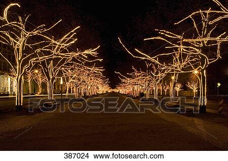 Boulevard with illuminated trees, Berlin, Germany View Large Photo Image Picture - Boulevard with illuminated trees, Berlin, Germany. Fotosearch