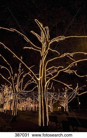 Boulevard with illuminated trees, Berlin, Germany View Large Photo Image Stock Image - Boulevard with illuminated trees, Berlin, Germany. Fotosearch