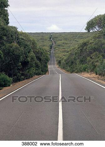 Highway through forest landscape View Large Photo Image Stock Image - Highway through forest landscape. Fotosearch