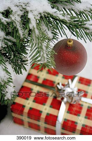 Present below snow covered Christmas tree View Large Photo Image Stock Photo - Present below snow covered Christmas tree. Fotosearch