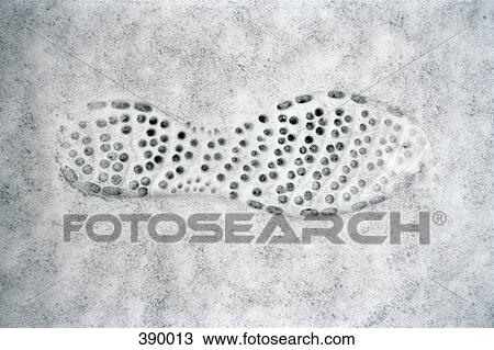 Single footprint in snow View Large Photo Image Stock Image - Single footprint in snow. Fotosearch