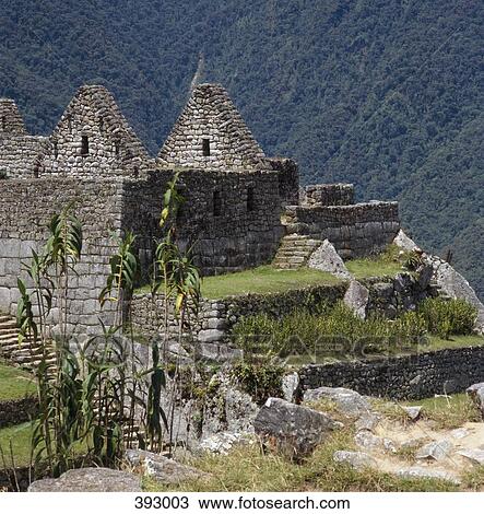 Incan ruins at Machu Picchu, Andes Mountains, Peru View Large Photo Image Stock Image - Incan ruins at Machu Picchu, Andes Mountains, Peru. Fotosearch