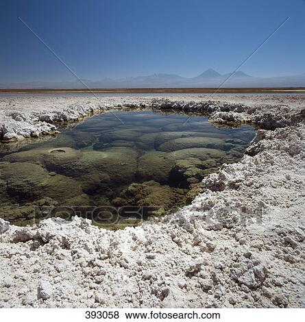 Stock Photo - Laguna Lejia, Atacama Desert, Chile. Fotosearch