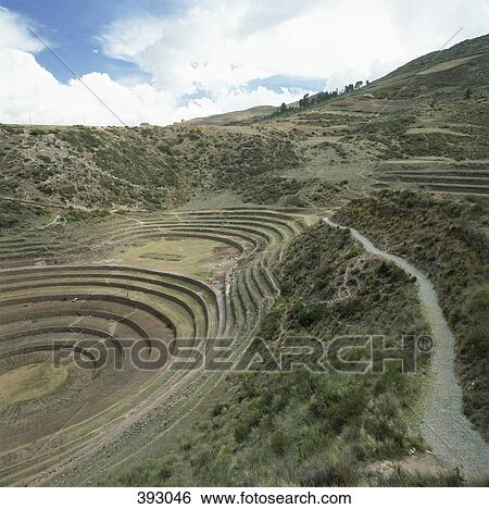 Terraced fields, Inca trail, Peru View Large Photo Image Stock Photograph - Terraced fields, Inca trail, Peru. Fotosearch