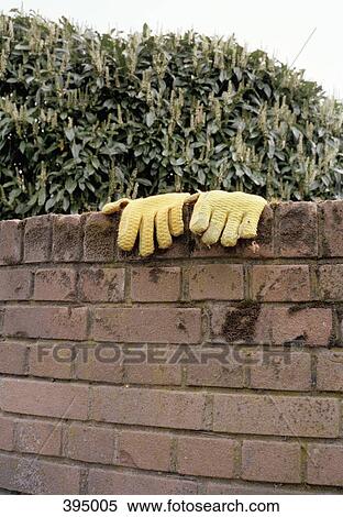 Yellow gardening gloves on wall View Large Photo Image Stock Photography - Yellow gardening gloves on wall. Fotosearch