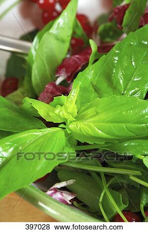 Stock Photo - Bowl of salad. Fotosearch