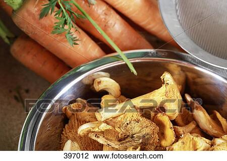 Fresh Chanterelle mushrooms and carrots View Large Photo Image Stock Image - Fresh Chanterelle mushrooms and carrots. Fotosearch
