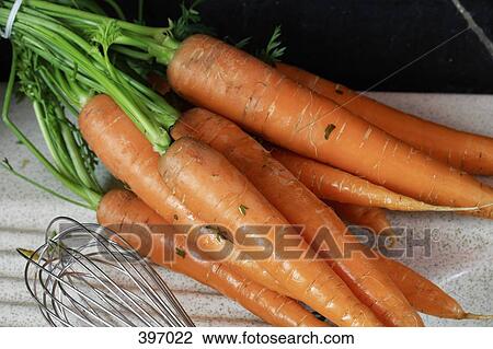 Raw carrots and a whisk View Large Photo Image Stock Image - Raw carrots and a whisk. Fotosearch