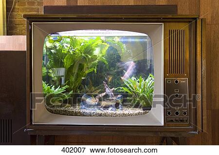A fish tank in a television View Large Photo Image Stock Photo - A fish tank in a television. Fotosearch
