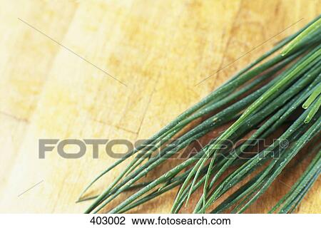 Chives View Large Photo Image Stock Image - Chives. Fotosearch