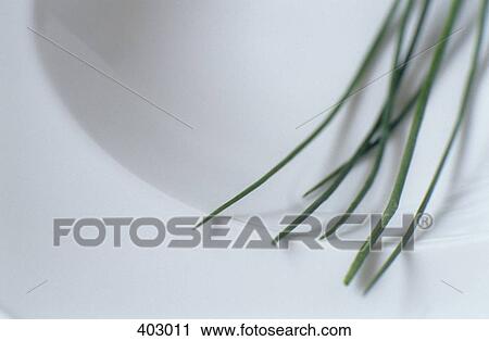 Chives View Large Photo Image Stock Image - Chives. Fotosearch