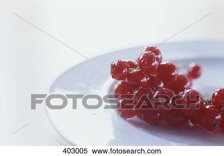 Red Currents View Large Photo Image Stock Photography - Red Currents. Fotosearch
