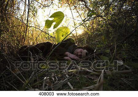 A man sleeping in woodland View Large Photo Image Stock Image - A man sleeping in woodland. Fotosearch