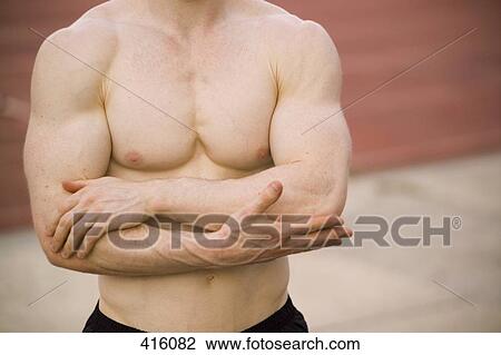 Torso of a male athlete View Large Photo Image Stock Image - Torso of a male athlete. Fotosearch