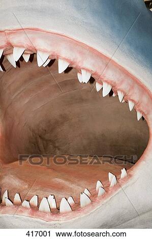 Stock Image - Inside the mouth of a shark. Fotosearch