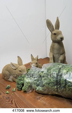 Toy rabbits eating cabbage View Large Photo Image Stock Photo - Toy rabbits eating cabbage. Fotosearch