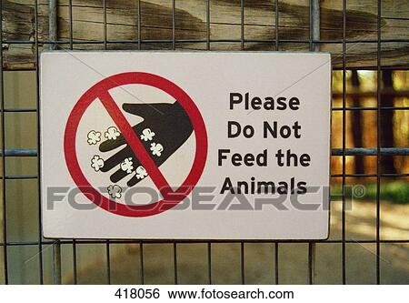 Information sign at the zoo View Large Photo Image Stock Photograph - Information sign at the zoo. Fotosearch