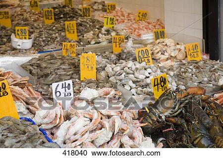 Seafood stall View Large Photo Image Stock Image - Seafood stall. Fotosearch