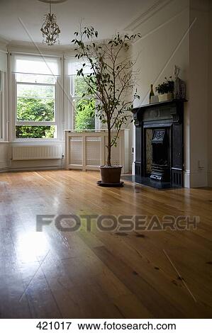 Potted plant in front of a fireplace in an empty room View Large Photo Image Stock Photo - Potted plant in front of a fireplace in an empty room. Fotosearch