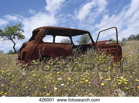 Abandoned car in a meadow View Large Photo Image Stock Image - Abandoned car in a meadow. Fotosearch