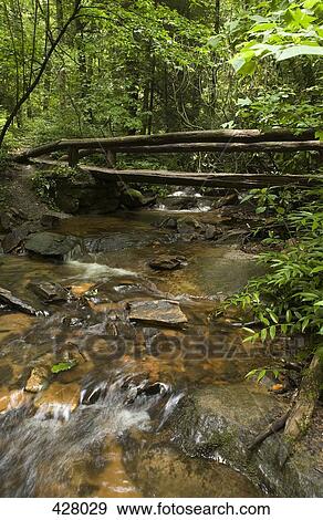 River running through trees View Large Photo Image Stock Photo - River running through trees. Fotosearch