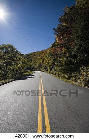 Tree lined road View Large Photo Image Stock Image - Tree lined road. Fotosearch