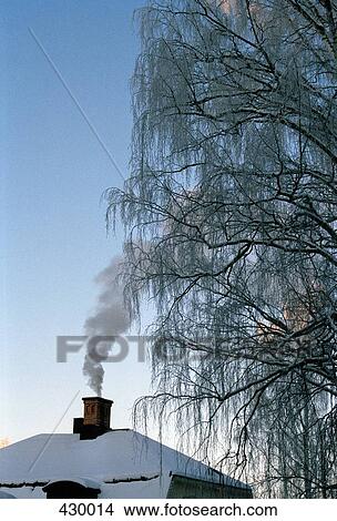 A house with a snow-capped roof under a tall tree View Large Photo Image Picture - A house with a snow-capped roof under a tall tree. Fotosearch