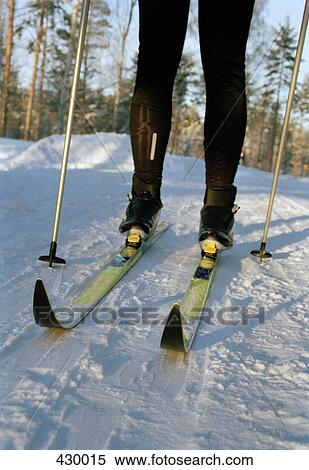 Person cross-country skiing View Large Photo Image Stock Photography - Person cross-country skiing. Fotosearch