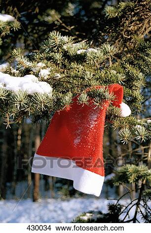 Santa hat hanging in an evergreen tree View Large Photo Image Picture - Santa hat hanging in an evergreen tree. Fotosearch