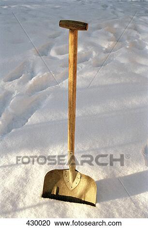 Shovel in the snow View Large Photo Image Stock Image - Shovel in the snow. Fotosearch