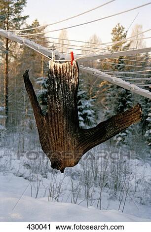 Wool sweater covered in snow whilst hanging on a clothes line View Large Photo Image Stock Image - Wool sweater covered in snow whilst hanging on a clothes line. Fotosearch