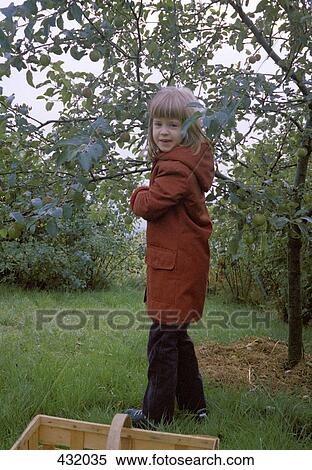 Girl picking apples in the garden View Large Photo Image Stock Photography - Girl picking apples in the garden. Fotosearch