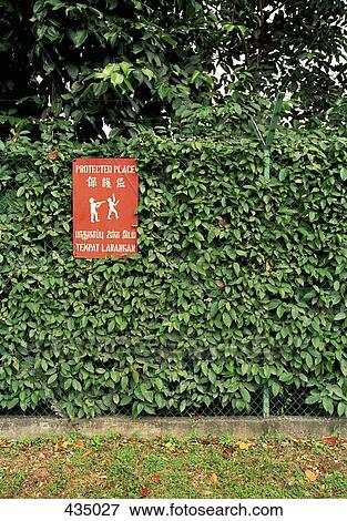 "Protected Place" sign on a fence, Singapore View Large Photo Image Stock Photo - "Protected Place" sign on a fence, Singapore. Fotosearch