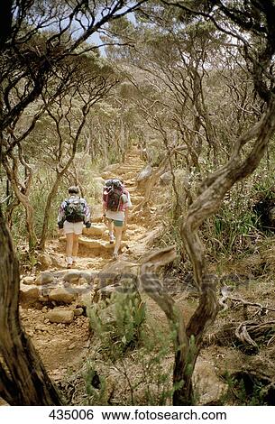 Stock Photograph - Two people hiking to Mount Kinabalu, Sabah, Borneo, Malaysia. Fotosearch