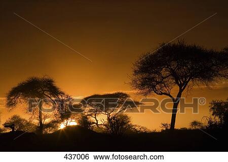 Stock Photograph - Sunset in Africa. Fotosearch
