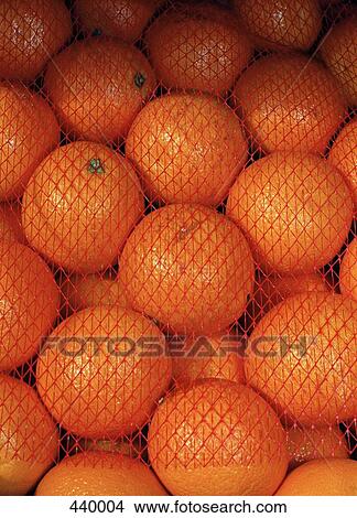 Pile of oranges under netting View Large Photo Image Picture - Pile of oranges under netting. Fotosearch