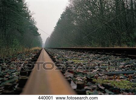 Railroad tracks through the woods in winter View Large Photo Image Stock Image - Railroad tracks through the woods in winter. Fotosearch