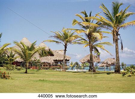 Stock Photography - Tropical beach resort. Fotosearch