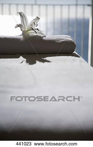 A white lily and a folded towel on a massage table View Large Photo Image Stock Image - A white lily and a folded towel on a massage table. Fotosearch