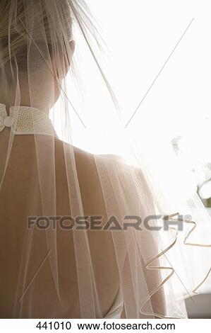 Rear view of a bride wearing a veil and a wedding dress View Large Photo Image Stock Image - Rear view of a bride wearing a veil and a wedding dress. Fotosearch