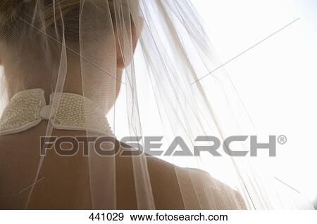 Rear view of a bride wearing a veil and a wedding dress View Large Photo Image Stock Photo - Rear view of a bride wearing a veil and a wedding dress. Fotosearch