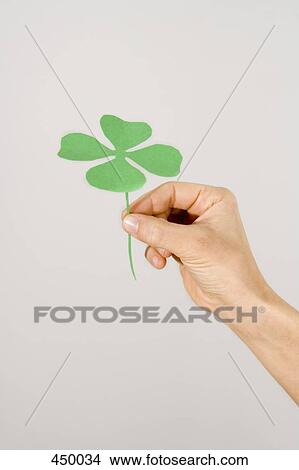 Picture - Hand holding a four leaf clover . Fotosearch