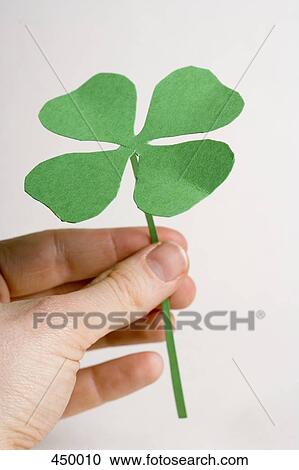 Hand holding a four leafed clover View Large Photo Image Stock Image - Hand holding a four leafed clover. Fotosearch