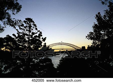 View through trees of Sydney Harbour Bridge View Large Photo Image Stock Photography - View through trees of Sydney Harbour Bridge. Fotosearch