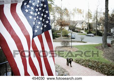 Stock Image - American flag flying in the front yard of a suburban house. Fotosearch