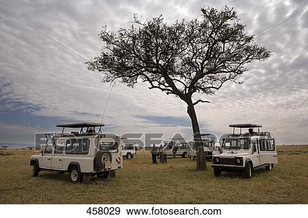 Stock Photo - Safari Vehicles. Fotosearch