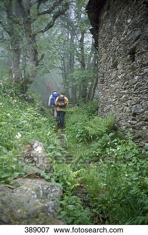 Group of people hiking through a forest View Large Photo Image Stock Photo - Group of people hiking through a forest. Fotosearch