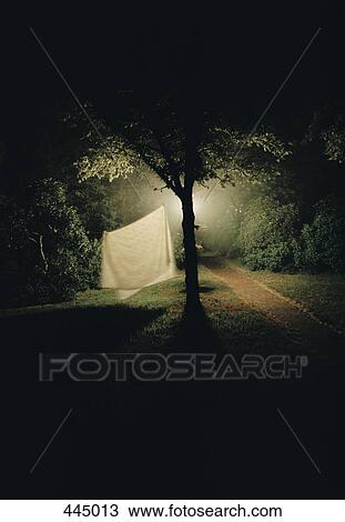 Stock Image - A sheet hanging from a tree at night. Fotosearch