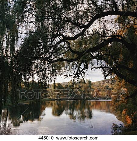 Stock Image - Autumn trees surrounding a lake. Fotosearch